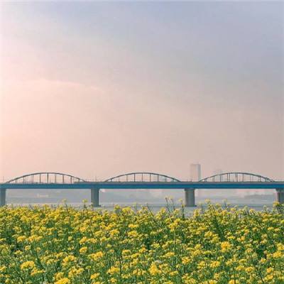 全国首座时速350公里公铁混层桥梁主塔封顶